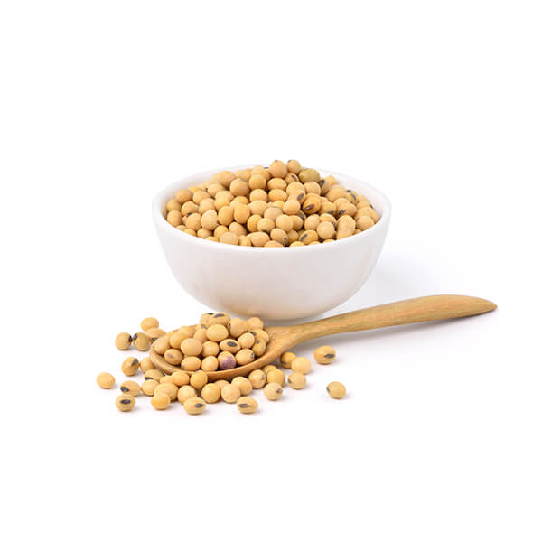 SOYBEAN